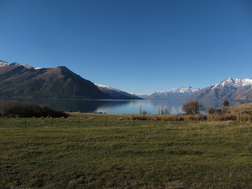 nz