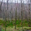 IMG_9011a.jpg