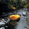 andy-goldsworthy-2.jpeg