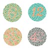 Ishihara_11.jpg