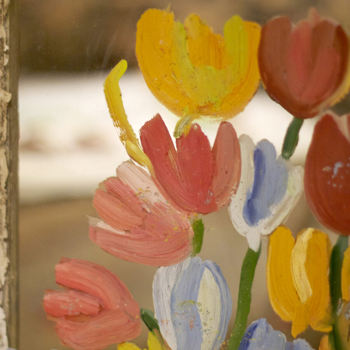 Close up photograph of tulips on the windows of Maud Lewis house. 